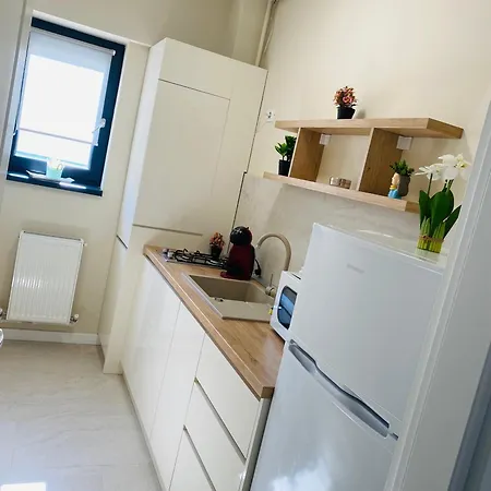 Coral إيفوري نورد